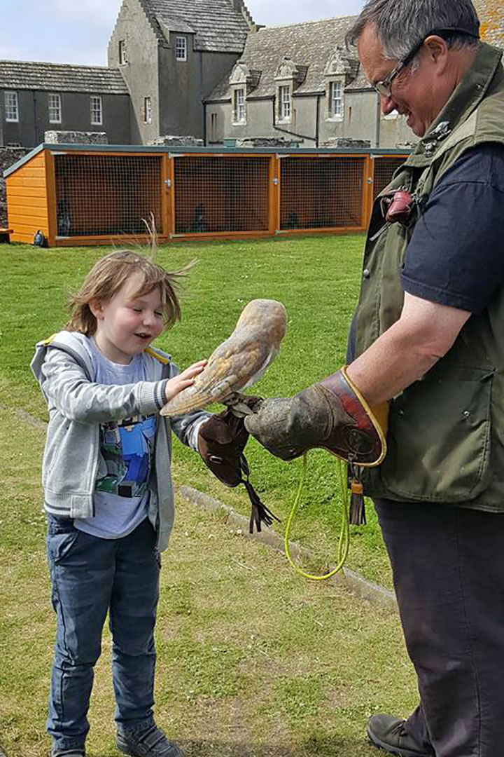 Stroking an Owl at Skaill House Falconry, Orkney