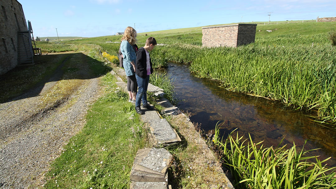 Looking at fish in the burn at the Barony Mill in Birsay, Orkney