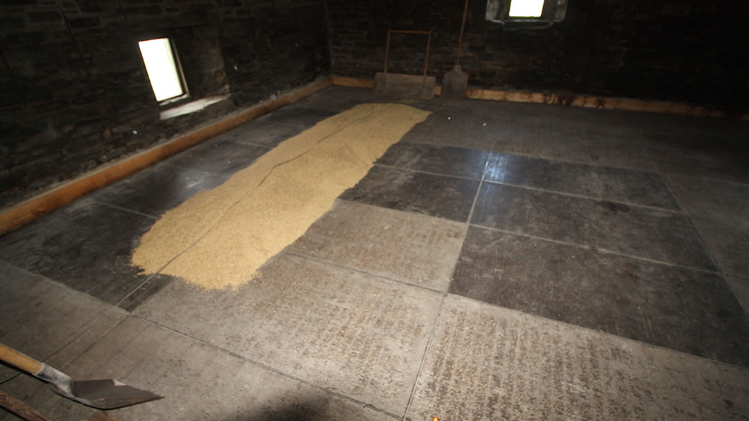 Beremeal drying in the Barony Mill kiln