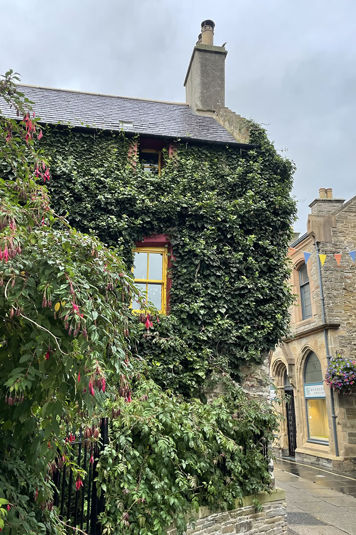 An ivy covered house in the heart of Kirkwall
