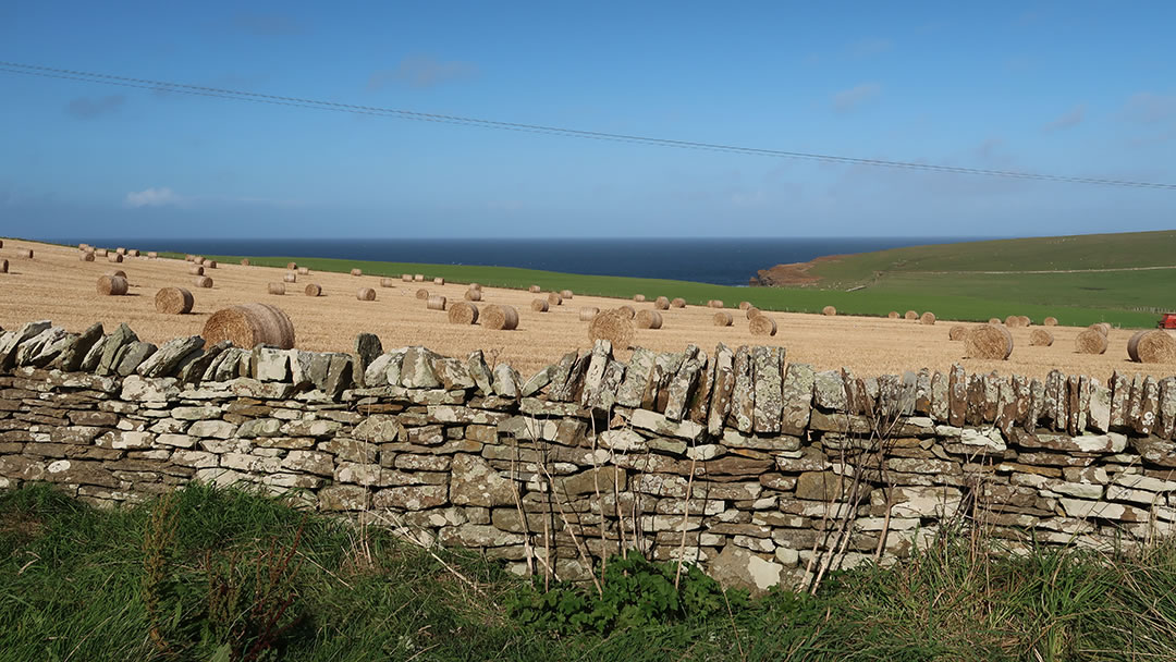 Farmland close to Marwick Head in Orkney