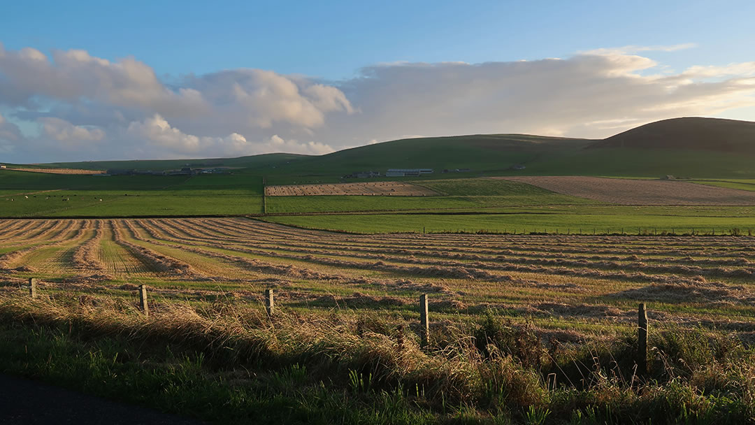 Orkney farmland and the hill of Cringlofiold