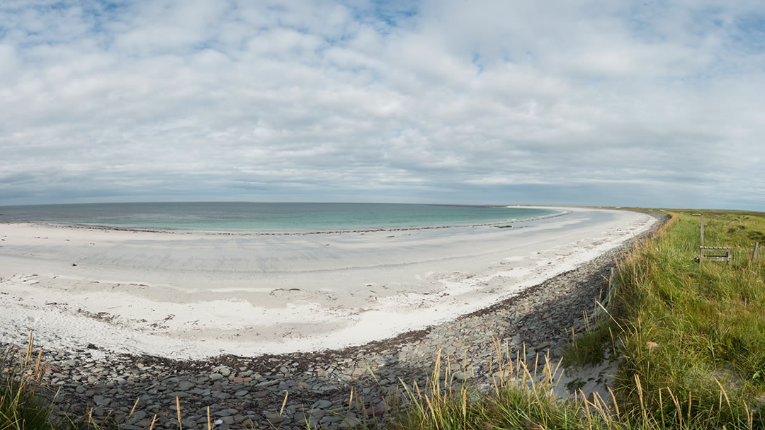 Whitemill Bay in Sanday is a lovely Orkney beach