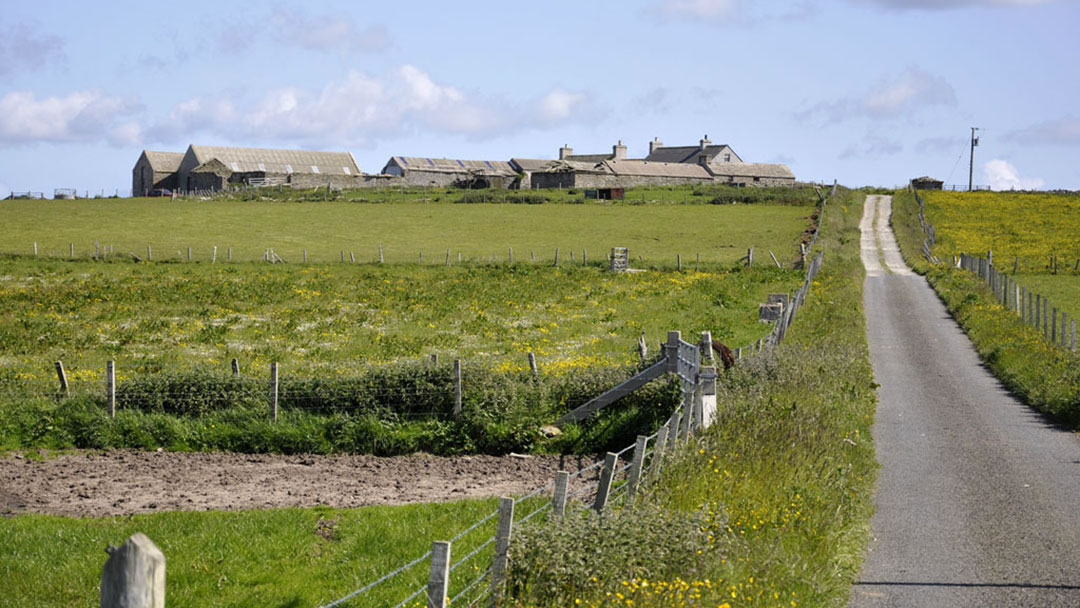 A Westray farm