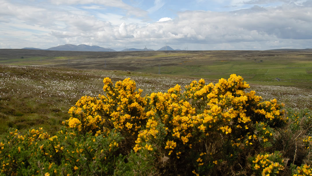 The Cassiemyre, part of the last stretch of the A9 from Latheron to Thurso