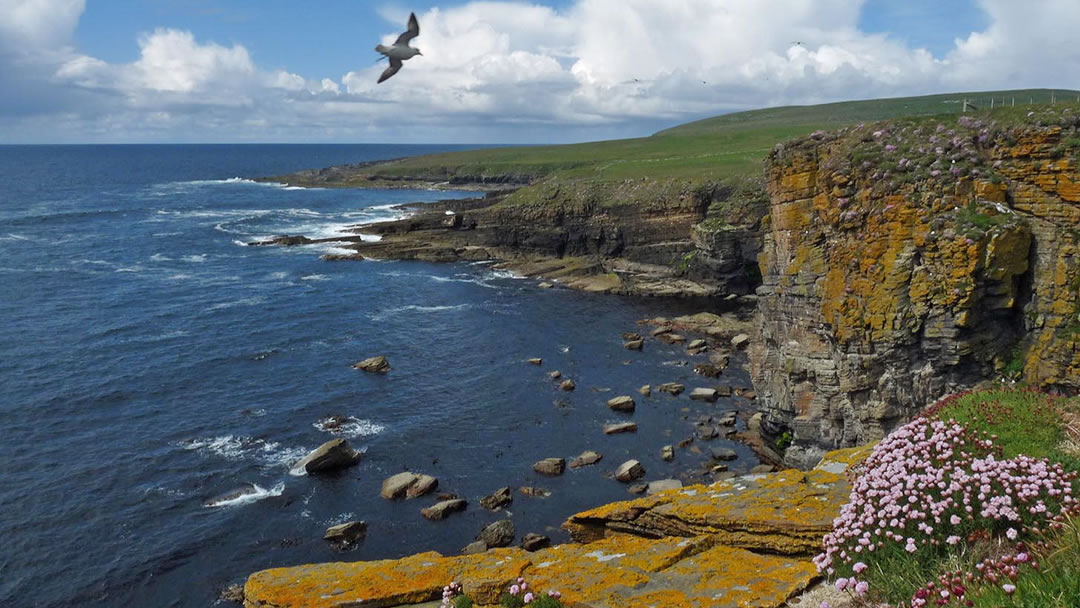 Coastline at Bis Geos in Westray, Orkney