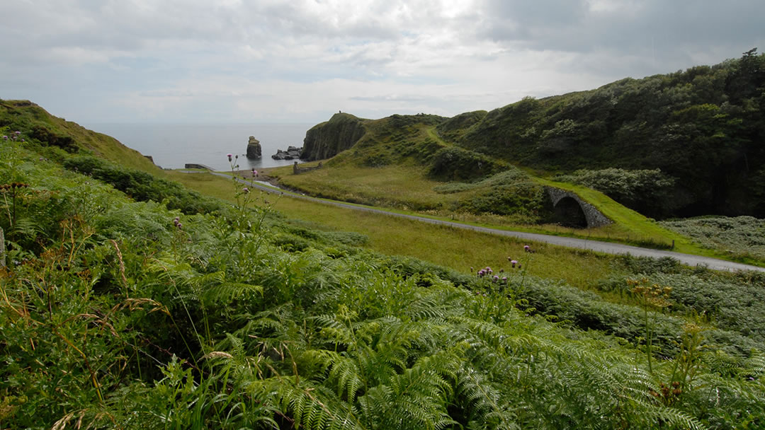 Latheronwheel harbour