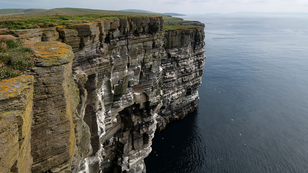 Noup Head cliffs, Westray