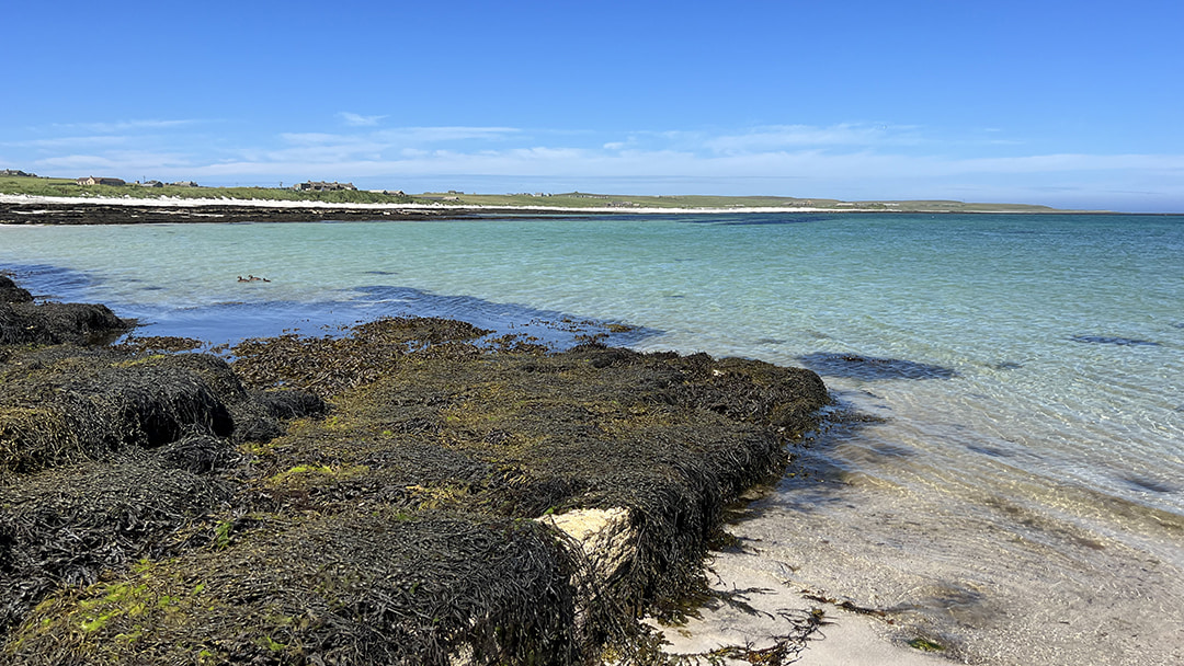 A beautiful beach in Papa Westray