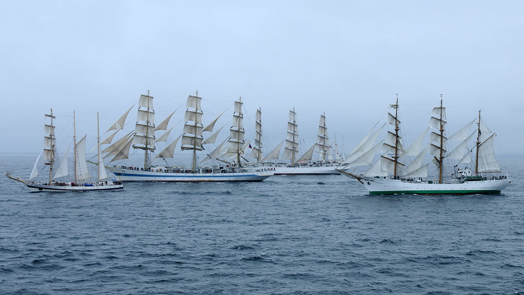 Tall Ships Race