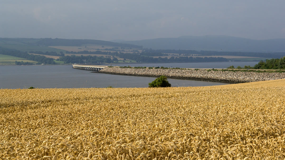 The Cromarty Bridge viewed from the Black Isle