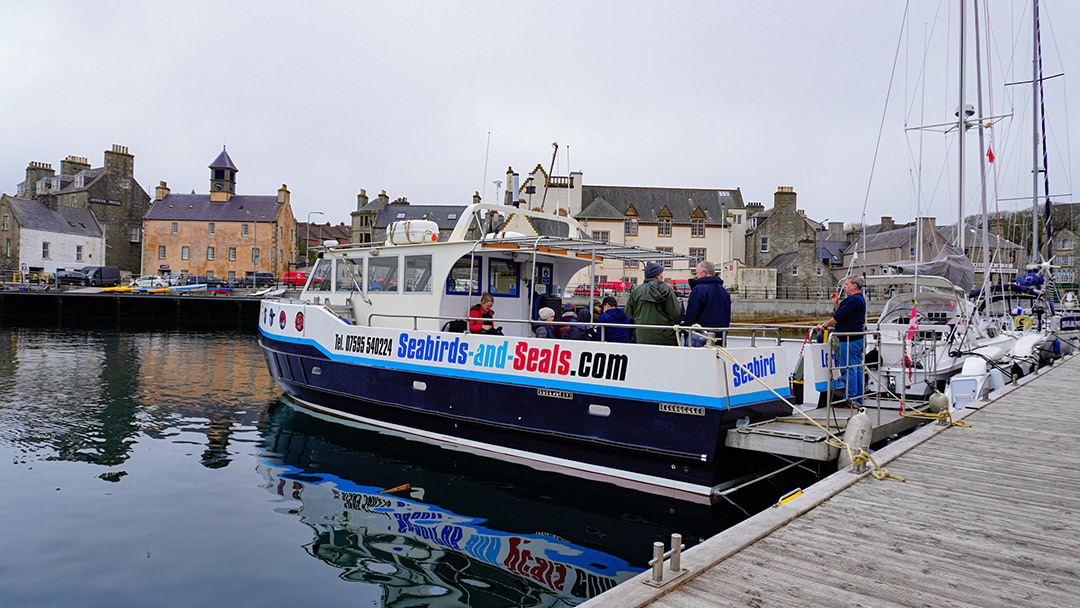 Seabirds and Seals tour of the isle of Noss