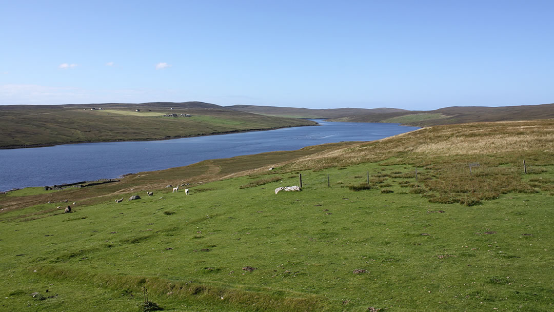 Whale Firth in Yell, Shetland