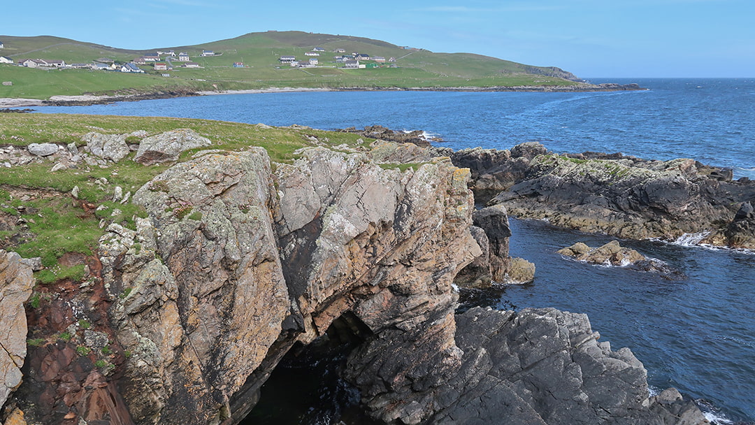 The Whalsay coastline is an excellent place for wildlife spotting