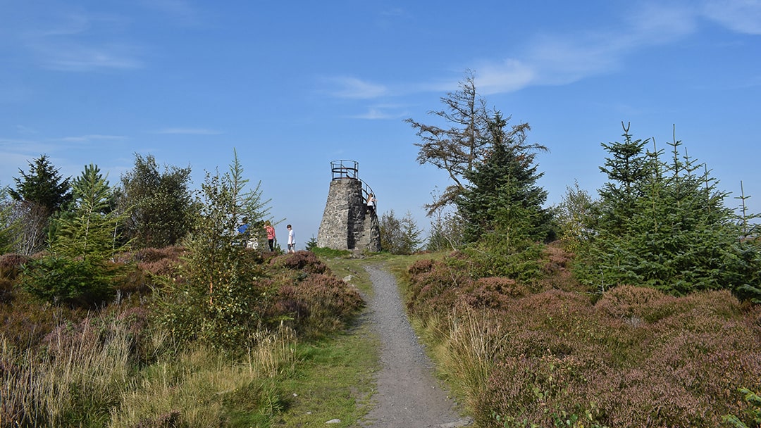 The Tappie Tower within Kirkhill Forest