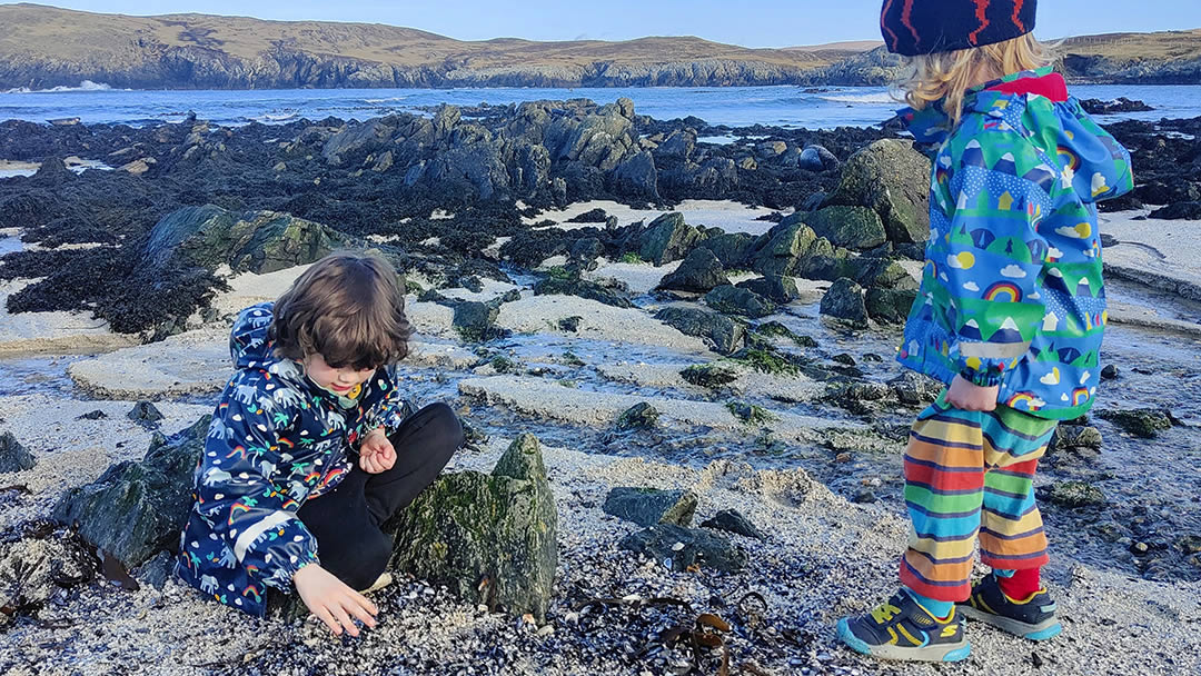 Searching for treasure on the shore