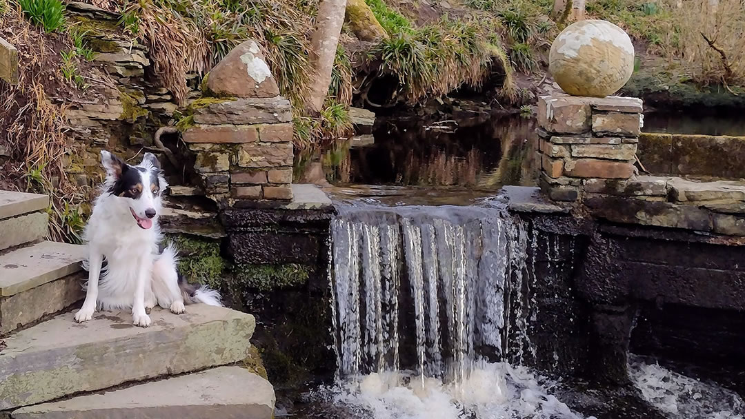 Visiting Happy Valley in Orkney with Jess the dog