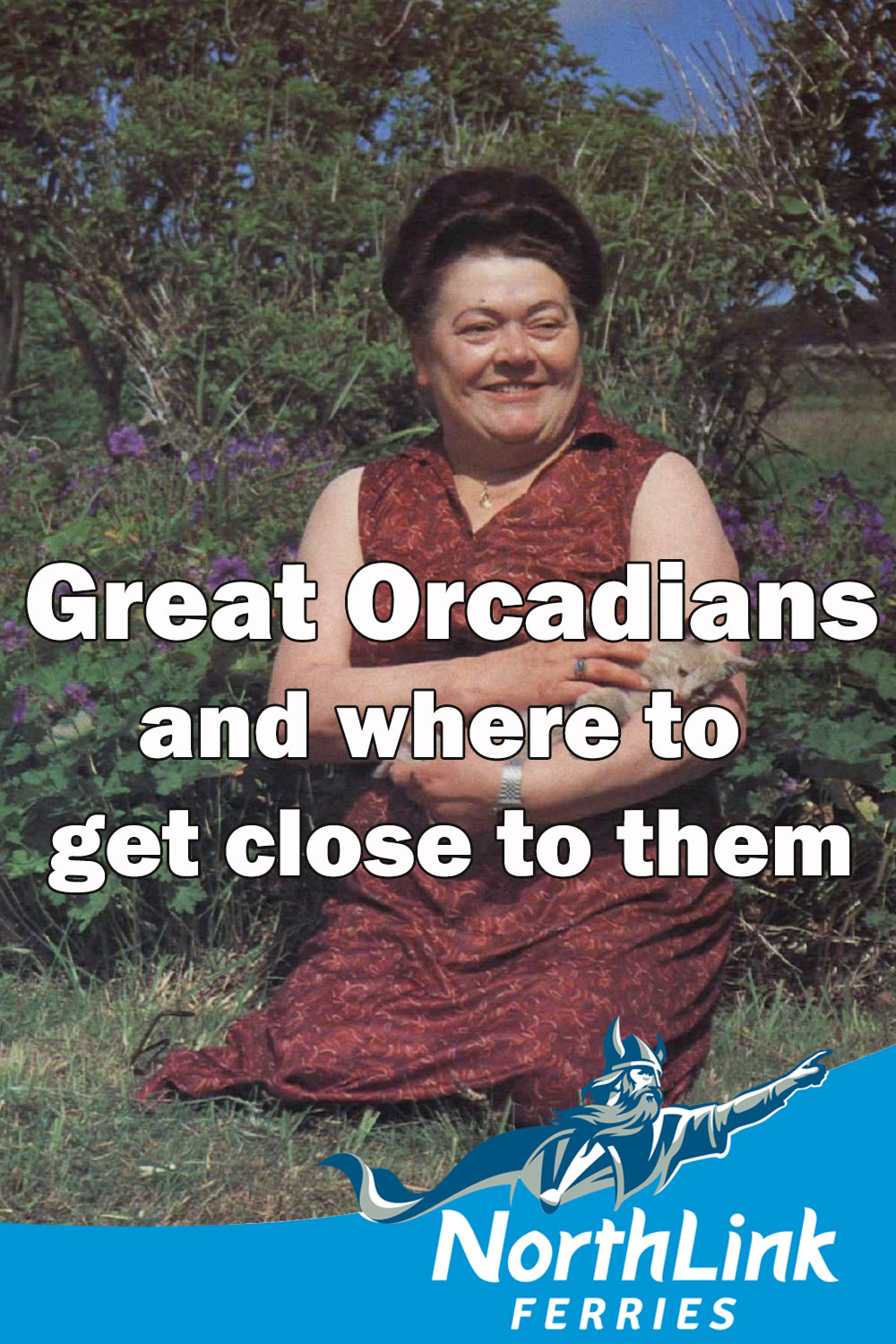 Great Orcadians and where to get close to them