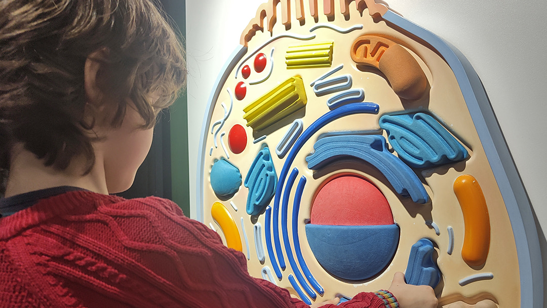 Rohan having fun with the activities at Aberdeen Science Centre