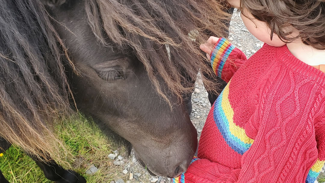 Rohan with a Shetland Pony. Ponies are gentle with children.
