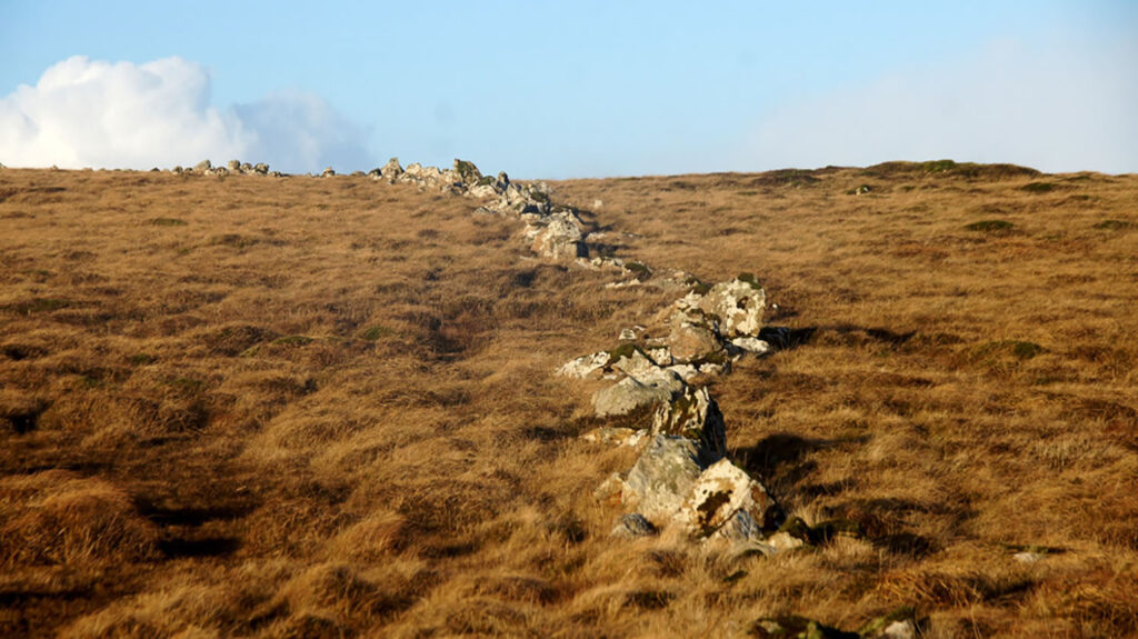 Funziegirt in Fetlar, Shetland