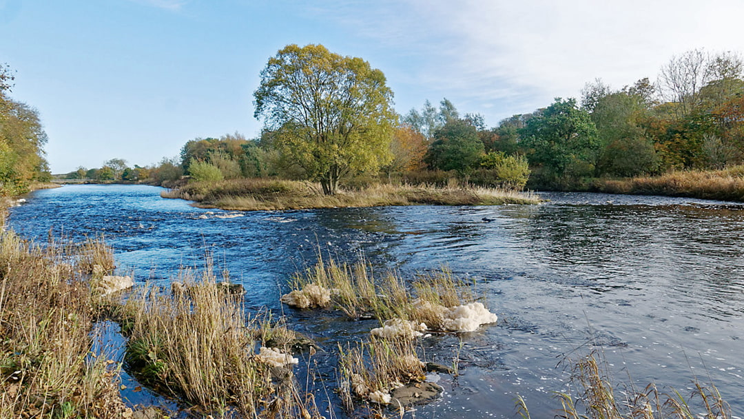 A peaceful walk along the River Thurso