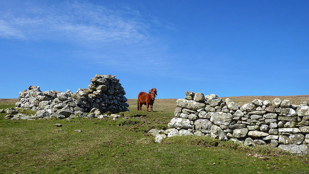 Ruined buildings on the Shetland coast