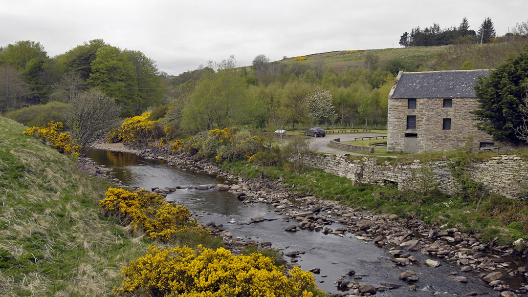 The Dunbeath Strath is a great place for a walk