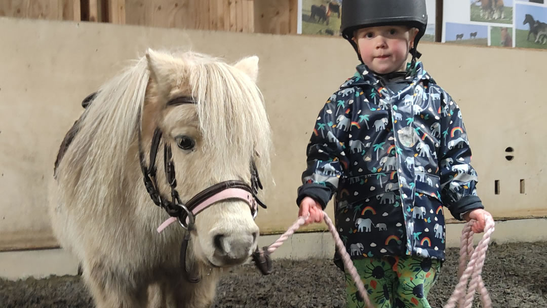 Duster the Shetland pony and Finn enjoying riding lessons