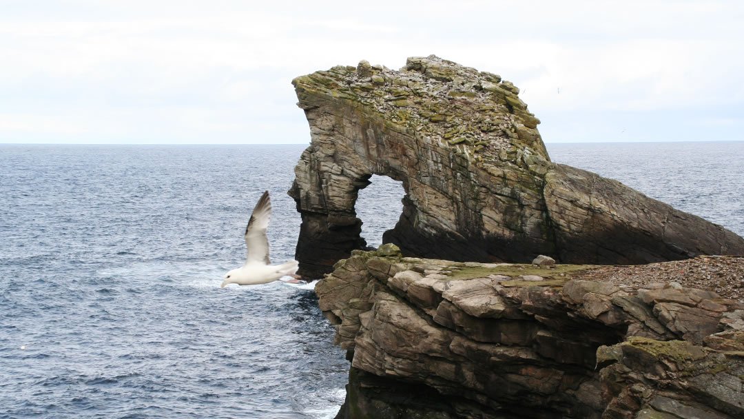 Gaada stack coastline, Foula, Shetland