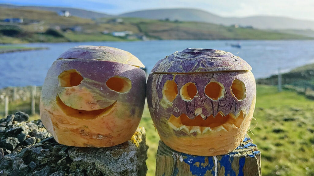 In Shetland, and other parts of Scotland, neeps, or turnips, are carved into lanterns