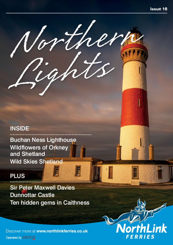 Northern Lights Issue 16
