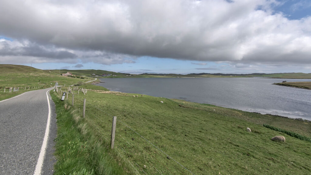 Catifrth in Nesting on the east of Shetland and north of Lerwick