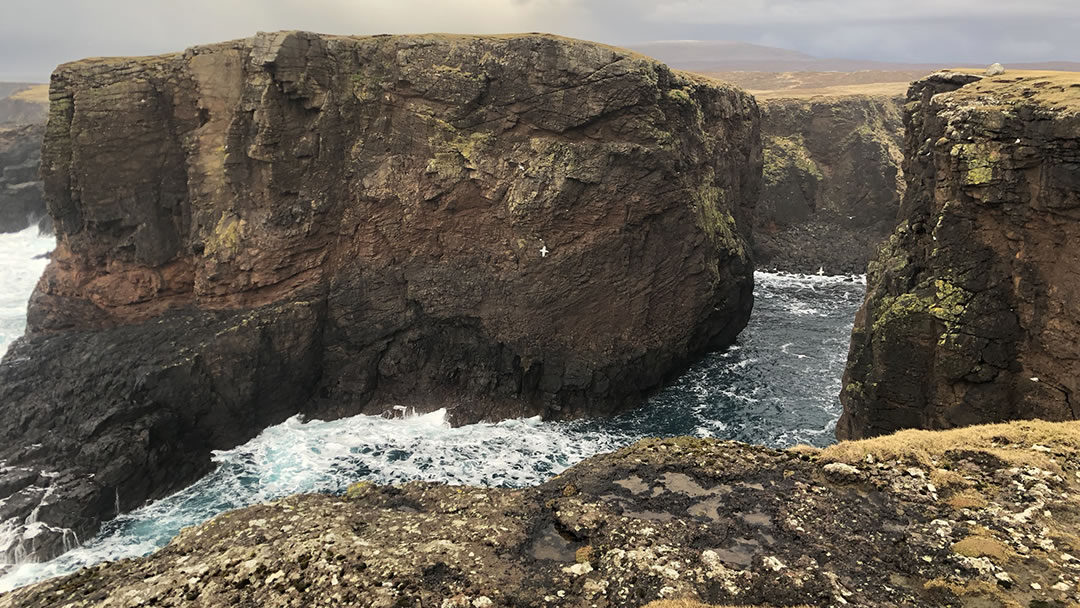 Calders Geo at Eshaness in Shetland