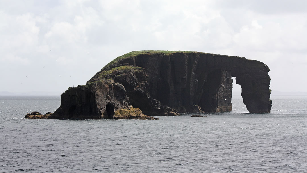 Dore Holm