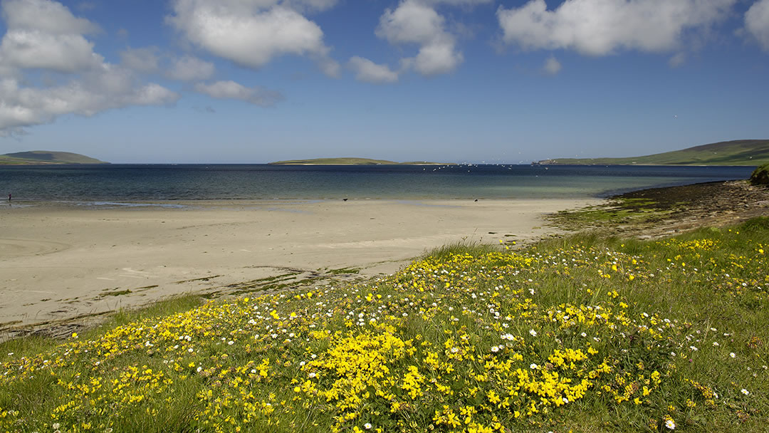 Aikerness beach in Evie, Orkney