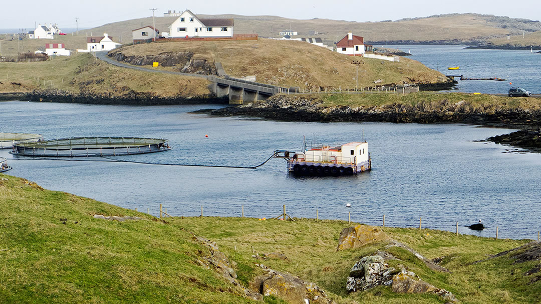 North Mouth and South Mouth, Out Skerries