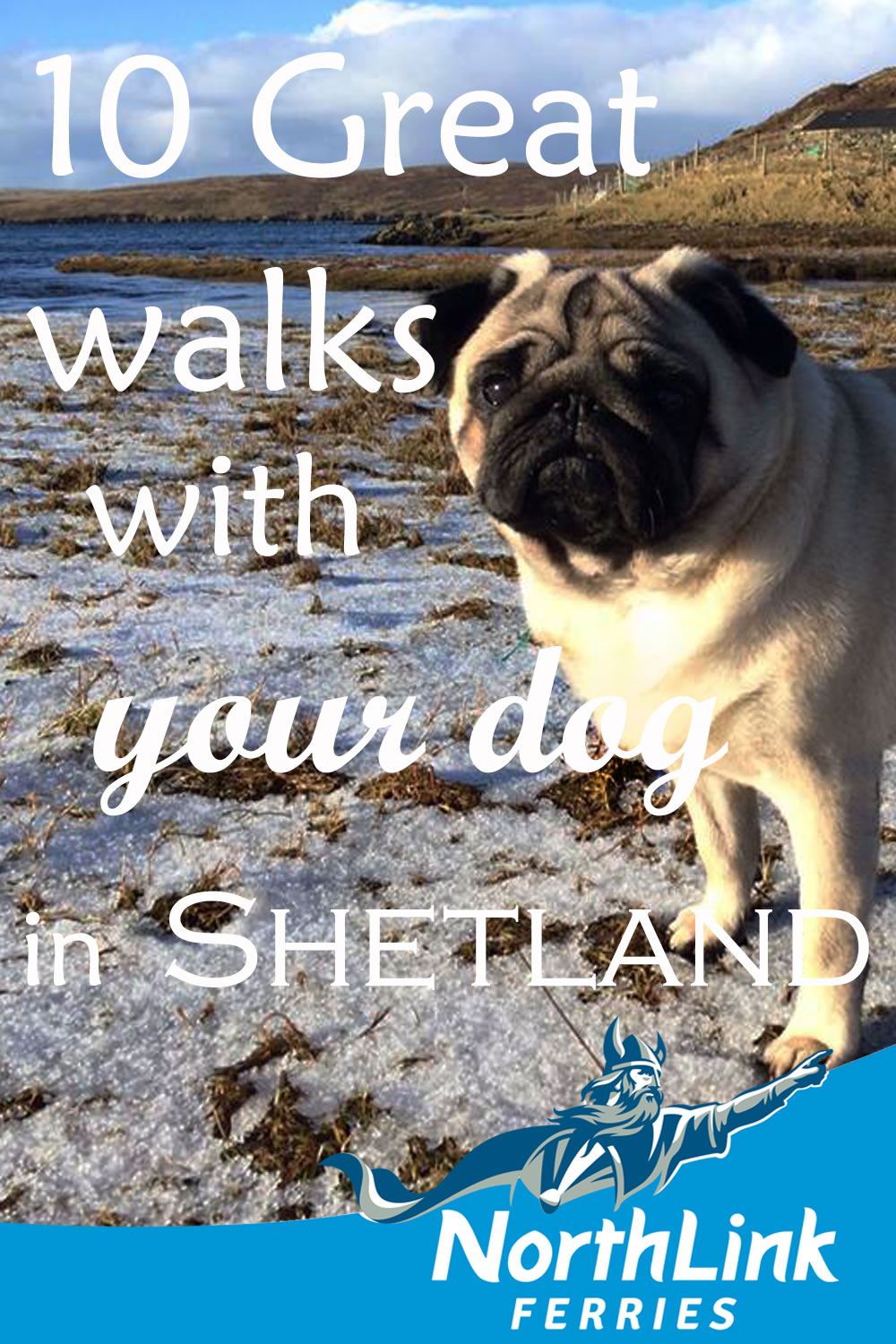 Great walks with your dog in Shetland
