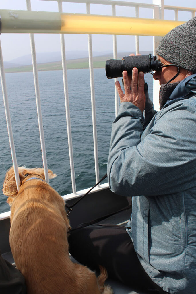 A dog's eye view