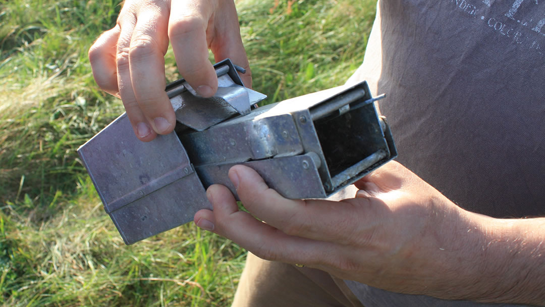 Setting a Longworth trap