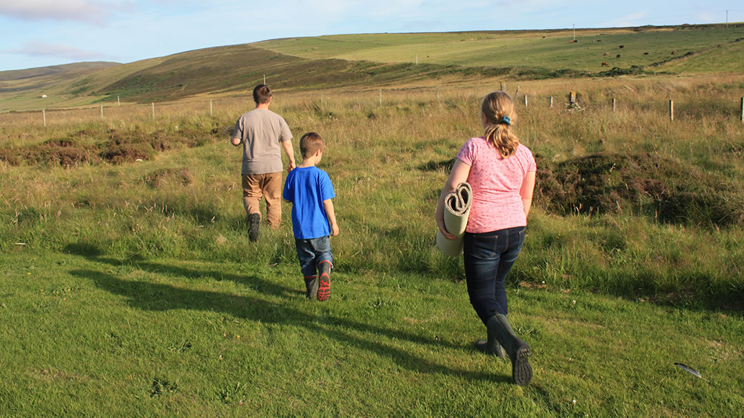 Trying to catch an Orkney Vole in rough grass
