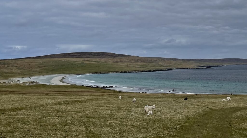 Exploring Viking heritage in Unst | NorthLink Ferries