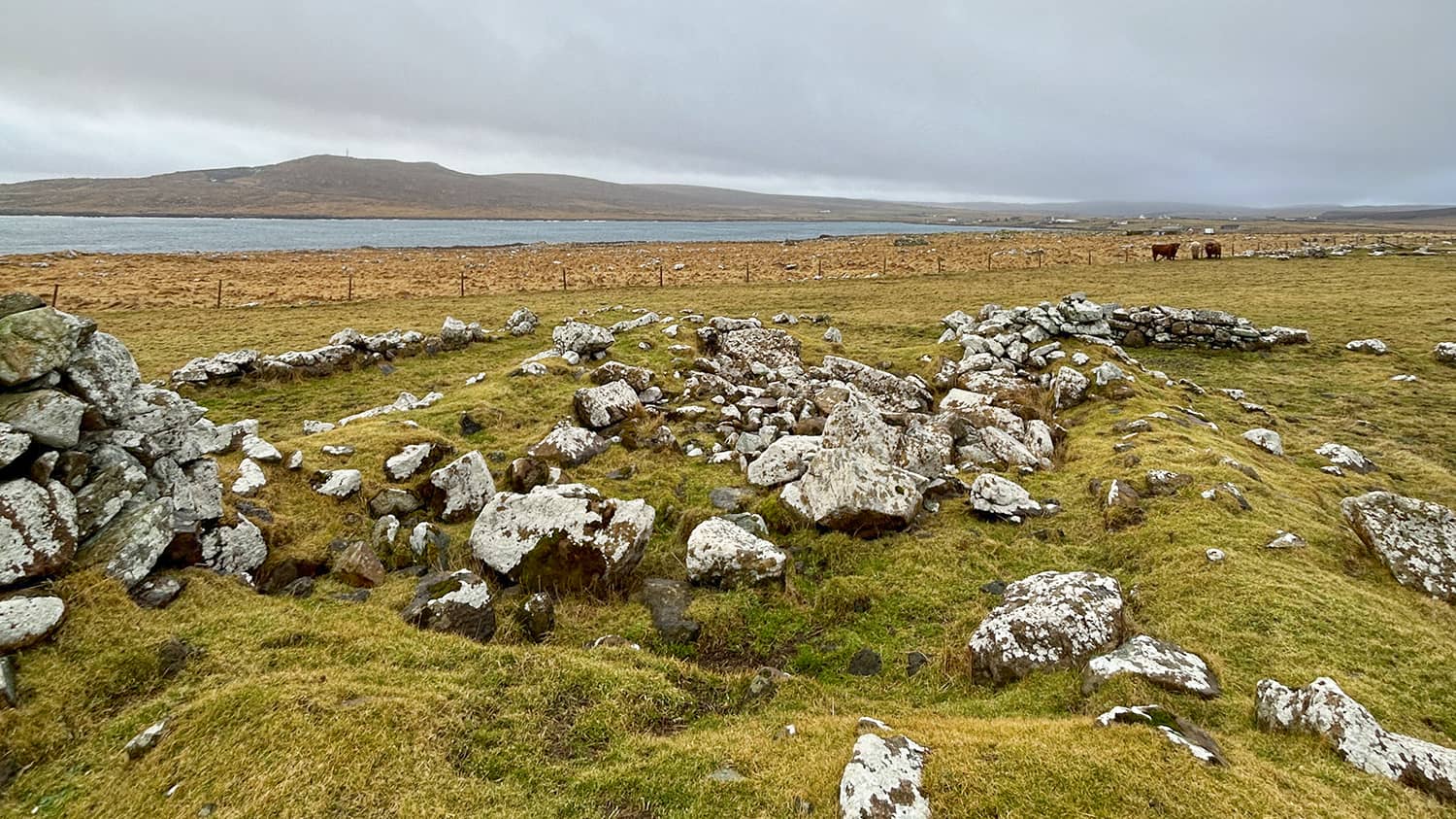 Chris Dyer: Exploring Viking Heritage in Unst