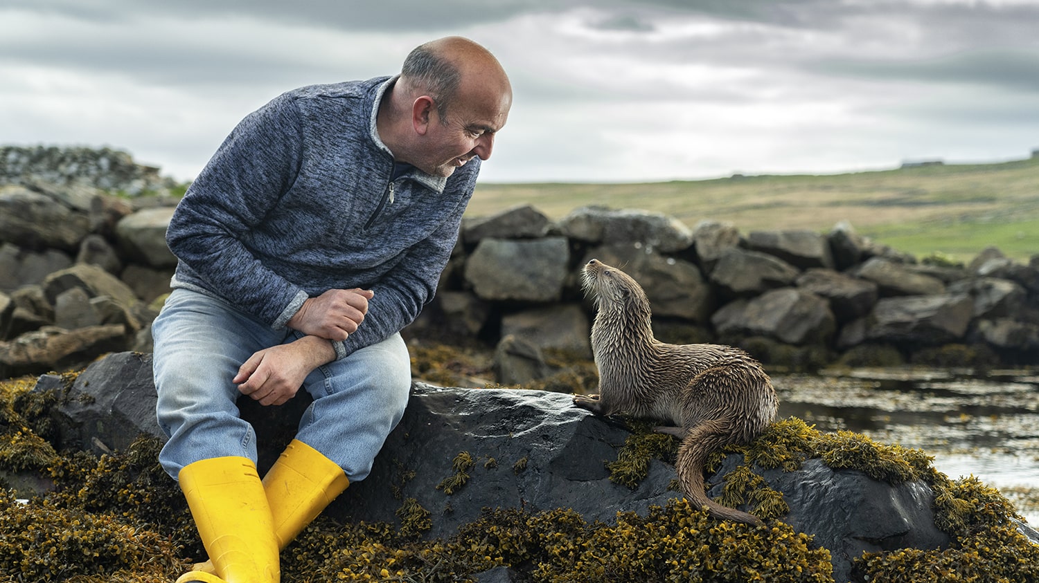 Billy & Molly: How a wild otter changed one man’s life forever