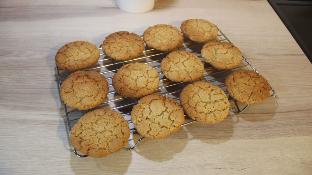 Ginger Snaps