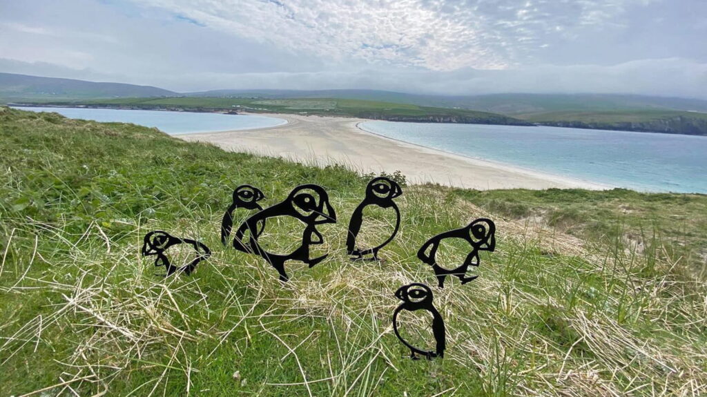 NorthLink Ferries' puffin hunt at St Ninian's Isle in Shetland