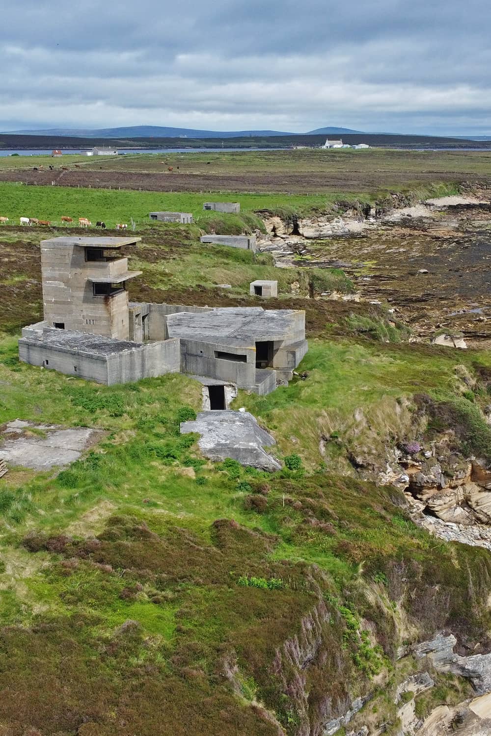 My day on Flotta