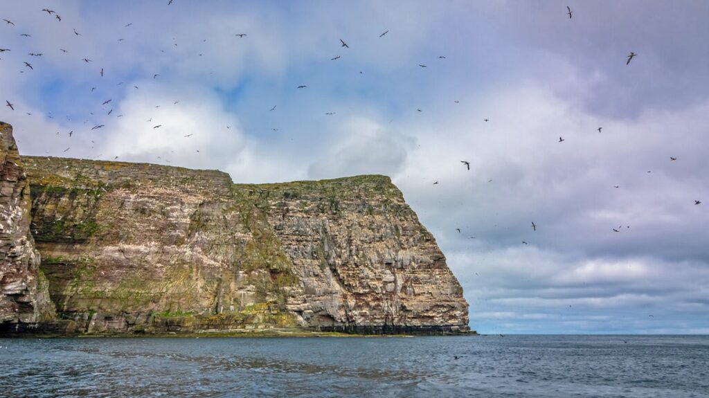 The striking cliffs of Noss