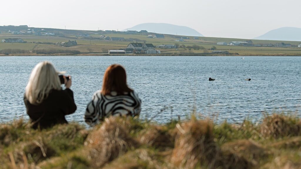 Spotting seals on the Loch of Stenness in Orkney