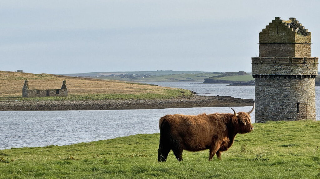 Coastal scenery in Shapinsay, Orkney